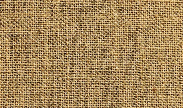 Comment choisir un peintre expert pour vos projets